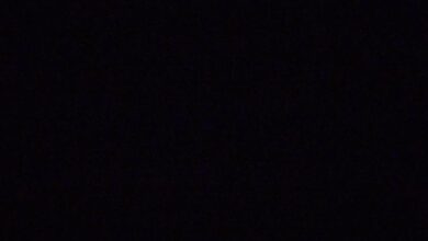 مطلوب كامري