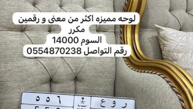 لوحة مميزة للبيع