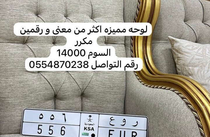 لوحة مميزة للبيع