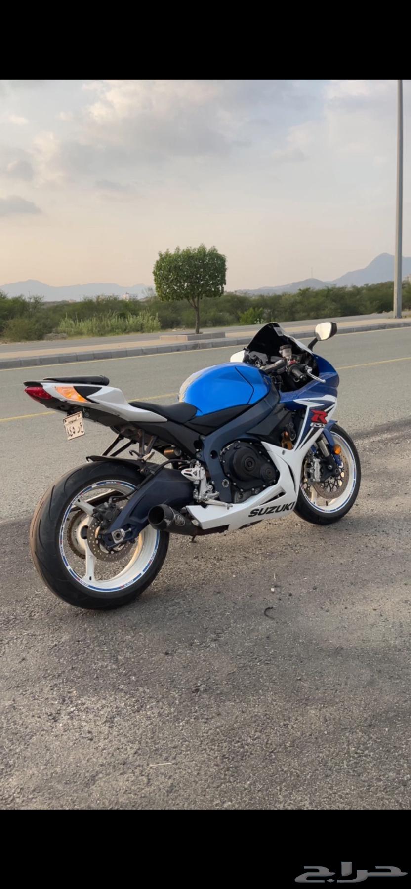 ريس 600 سوزوكي