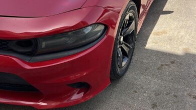 دوج مديل 2015