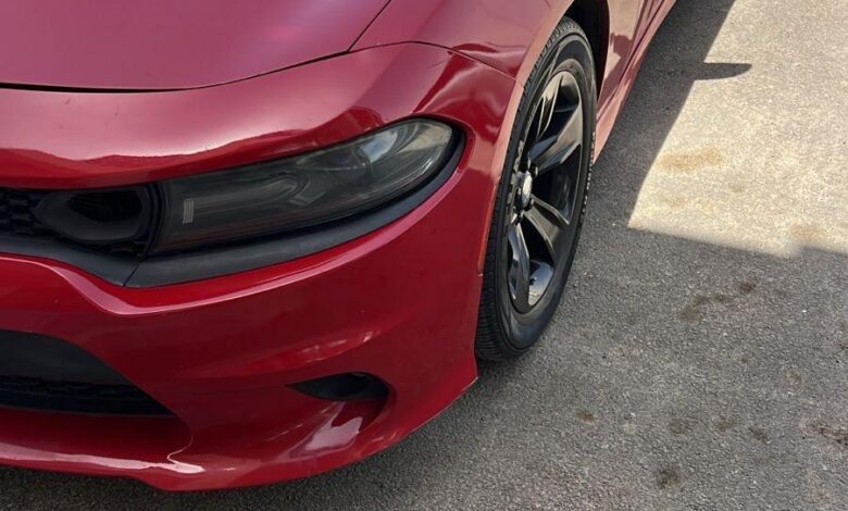 دوج مديل 2015