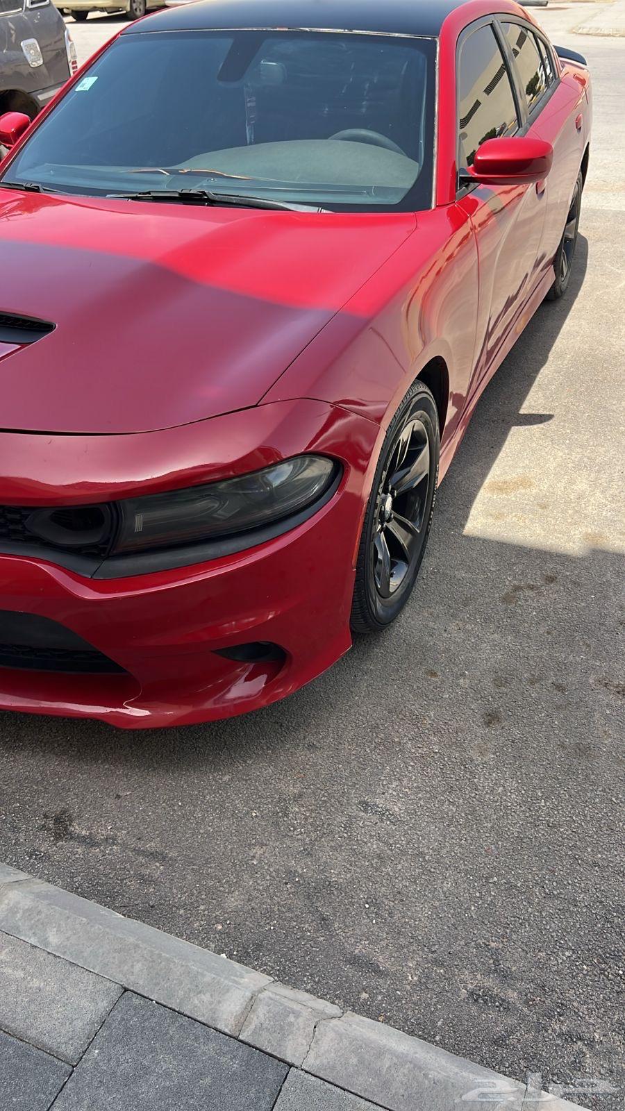 دوج مديل 2015