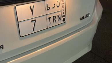 لوحة فردي