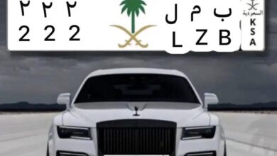 لوحه مميزه ب م ل 222