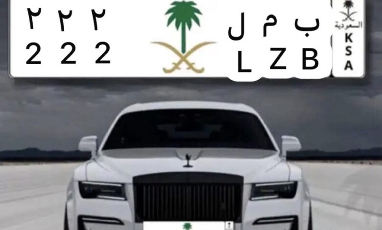 لوحه مميزه ب م ل 222