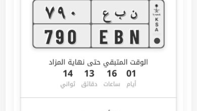لوحة ( نبع ) منتهي بالبيع مزاد ابشر