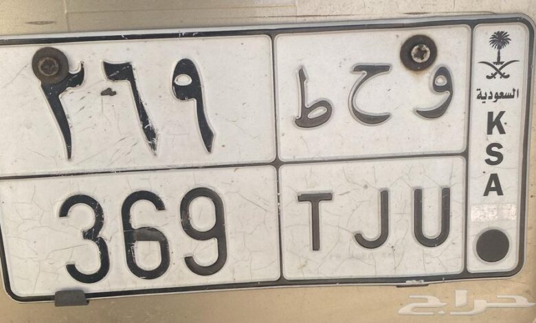 لوحة وحط 369