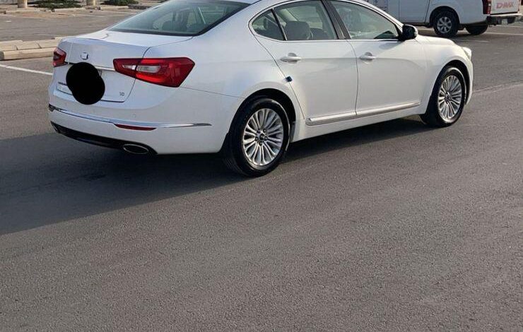كادينزا 2014